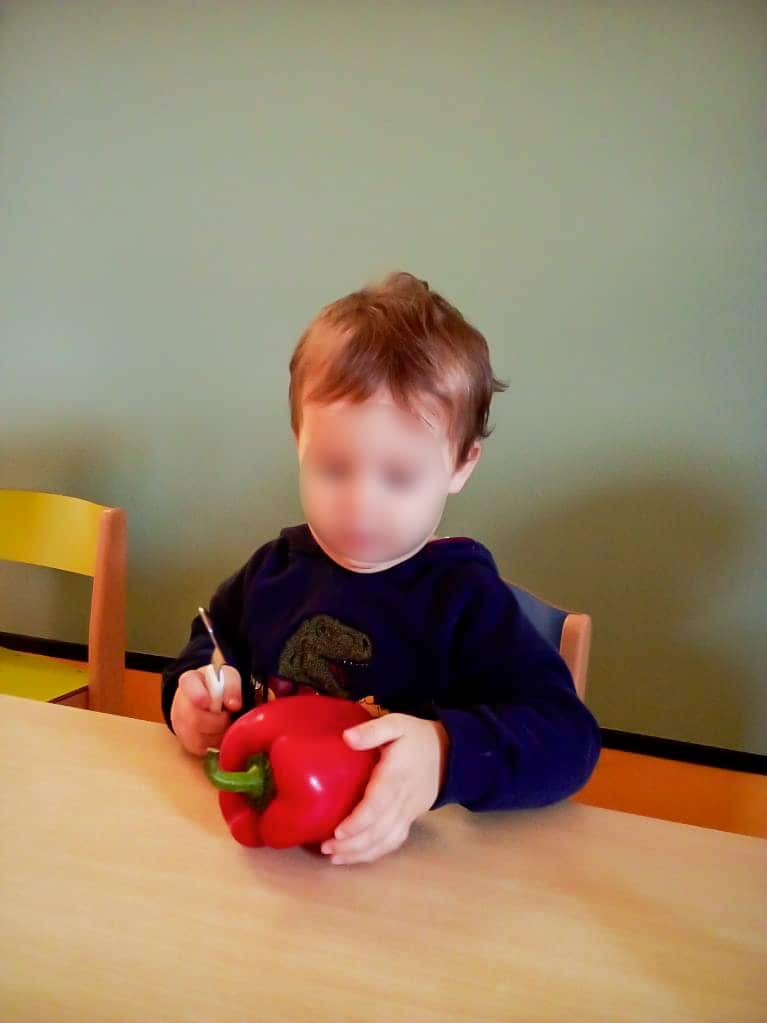 Un enfant découvre un poivron.