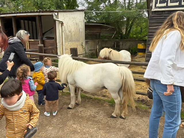 Les enfants s'occupent des poneys à la ferme de Mittainville lors d'une sortie organisée par la crèche de Rambouillet.